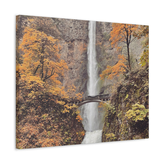 Falling for Fall - Canvas