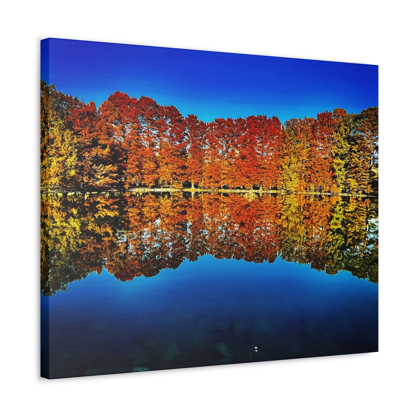 Autumn’s Mirror - Canvas